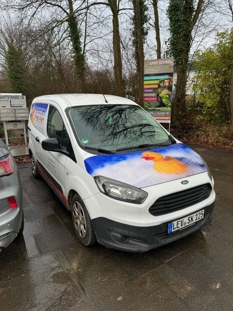 Ein Van mit buntem Design, verziert mit einer Badewannenente auf der Seite und der Motorhaube.